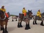 Replay Belgique - Les pêcheurs de crevettes à cheval