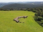 Replay Patrimoines de France - Bergers, gardiens des territoires