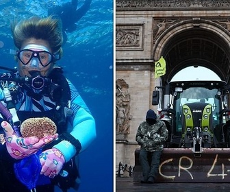 Replay Sauver les coraux / L'agriculture française face au Mercosur - 28 minutes