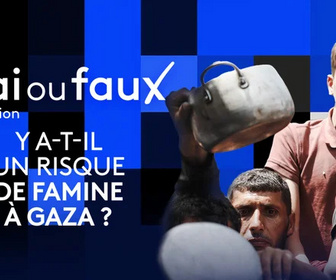 Replay Vrai ou faux, l'émission - Y a-t-il un risque de famine à Gaza ?