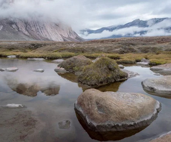 Replay Baffin, une île au coeur de la banquise