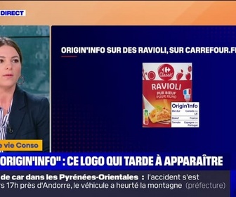 Replay C'est votre vie - Pourquoi le logo Origin'Info tarde à apparaître sur les produits en supermarché