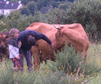 Replay Focus - L'installation agricole, un long parcours semé d'embûches