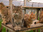 Replay La vie secrète des chats