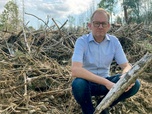 Replay ARTE Regards - Sécheresse, la lente agonie de la forêt