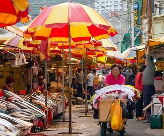 Replay Corée du sud, le marché aux poissons - Marchés du monde