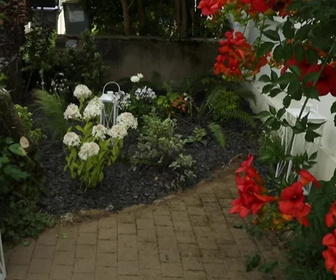 Replay Silence, ça pousse ! - 21/03/2026