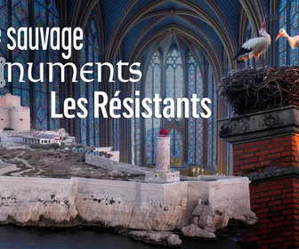 Replay La vie sauvage des monuments - Les Résistants