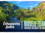 Replay Échappées belles - Nouvelle-Zélande : voyage au bout du monde