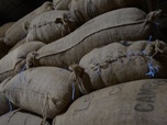 Replay ARTE Journal - Crise du cacao en Côte d'Ivoire