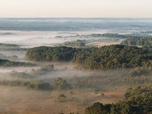 Replay New Forest, une forêt royale - Les parcs nationaux du Royaume-Uni