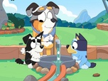 Replay Bluey - S2 E30 - La bibliothèque