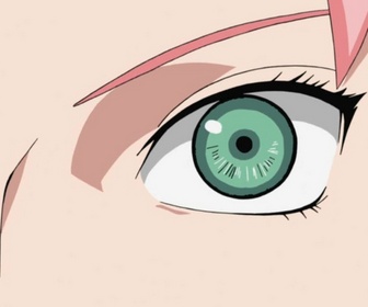 Replay Naruto Shippuden - S9 E1 - La confession de Sakura