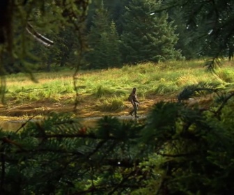 Replay Seuls face à l'Alaska - S7E2 - Toujours plus haut