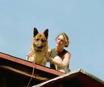 Replay Rex, chien flic - Drôles de cadeaux