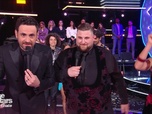 Replay Danse avec les stars - S13 E10 - La finale (Partie 2)
