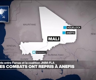 Replay Journal de l'Afrique - Mali: les combats ont repris dans la localité stratégique d'Anéfis