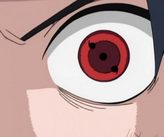 Replay Naruto - S1 E22 - Sasuke contre Lee