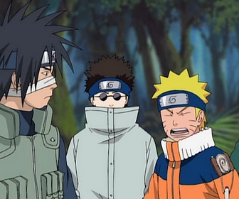 Replay Naruto Shippuden - S8 E6 - Le monde des animaux