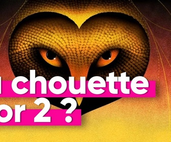 Replay Top Info - 7 mois après sa découverte, la chouette d'or dévoile tous ses secrets au cinéma