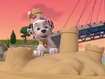 Replay Paw Patrol, la Pat'Patrouille - La disparition de la limande