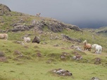 Replay Highlands, la renaissance de l'île de Rùm