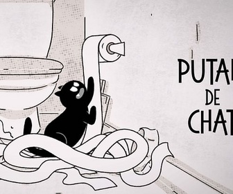 Replay Putain de chat