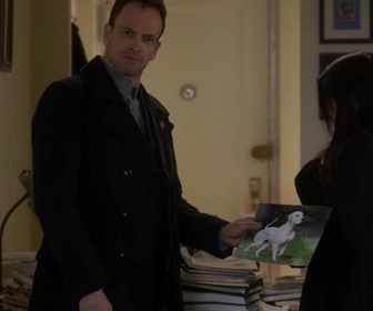 Replay Elementary - S4 E16 - Les chiens de guerre