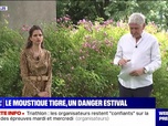 Replay Prenez soin de vous - Le moustique tigre, un danger estival - 28/07