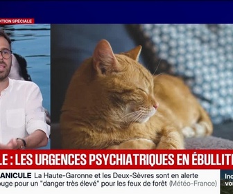 Replay Marschall Truchot : la journée la plus chaude jamais enregistrée en France - 24/06