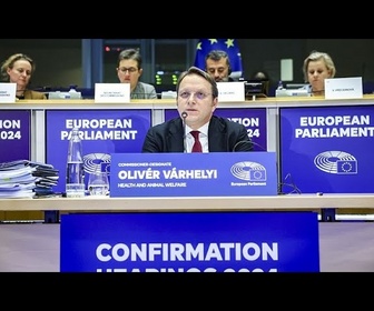 Replay La confirmation du candidat de Viktor Orbán à la Commission européenne retardée