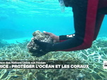 Replay Journal de l'Afrique - Conférence de l'ONU sur l'océan : à Maurice, protéger les coraux à tout prix