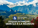 Replay Des Racines et Des Ailes - Passion patrimoine : Mon île à la Réunion