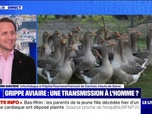Replay Le Live Week-end - Grippe aviaire : énorme inquiétude de l'OMS - 20/04