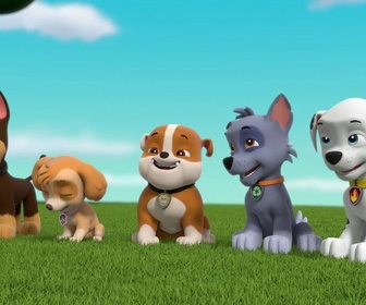 Replay Paw Patrol, la Pat'Patrouille - Galinetta pilote un avion
