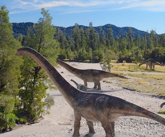 Replay Les dinosaures du pôle Sud