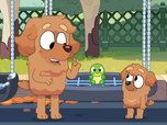 Replay Bluey - 08/10/2025