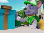 Replay Paw Patrol, la Pat'Patrouille - La grande tombola