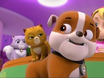 Replay Paw Patrol, la Pat'Patrouille - Chat-tastrophe !