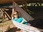Replay Positive Outre-mer