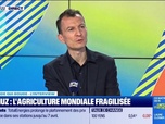Replay Good Morning Business - Blocage du détroit d'Ormuz : l'agriculture mondiale fragilisée