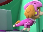 Replay Paw Patrol, la Pat'Patrouille - Du Surf en plein ciel