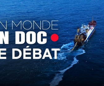Replay Un monde en doc - Ressources halieutiques en danger : une pêche durable est-elle possible ?