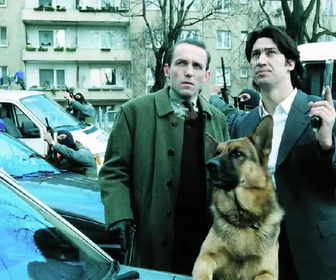 Replay Rex, chien flic - 20/07/2026