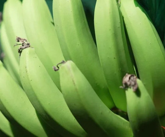 Replay C pas si loin - 08/01/2026