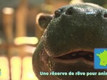 Replay Tfou d'Info du 12 août 2026