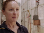 Replay Au cœur du zoo de New York - S1E1 - Le chouchou du zoo