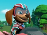 Replay Paw Patrol, la Pat'Patrouille - La Super Patrouille : Le cristal volé