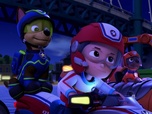 Replay Paw Patrol, la Pat'Patrouille - Un cargo en danger