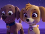 Replay Paw Patrol, la Pat'Patrouille - Les chiens-sirènes